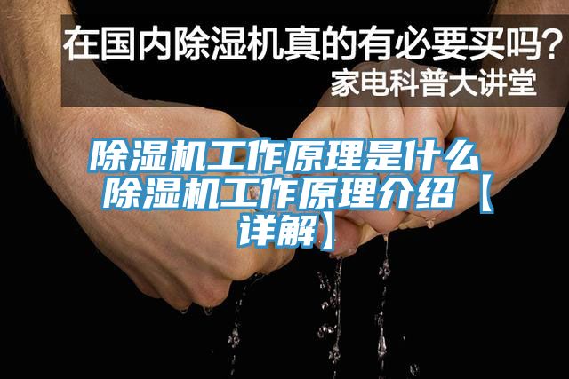 91看片网站工作原理是什麽 91看片网站工作原理介紹【詳解】