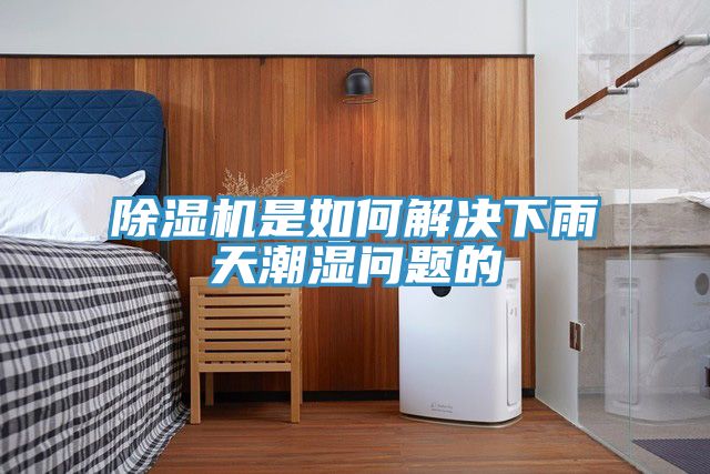 91看片网站是如何解決下雨天潮濕問題的