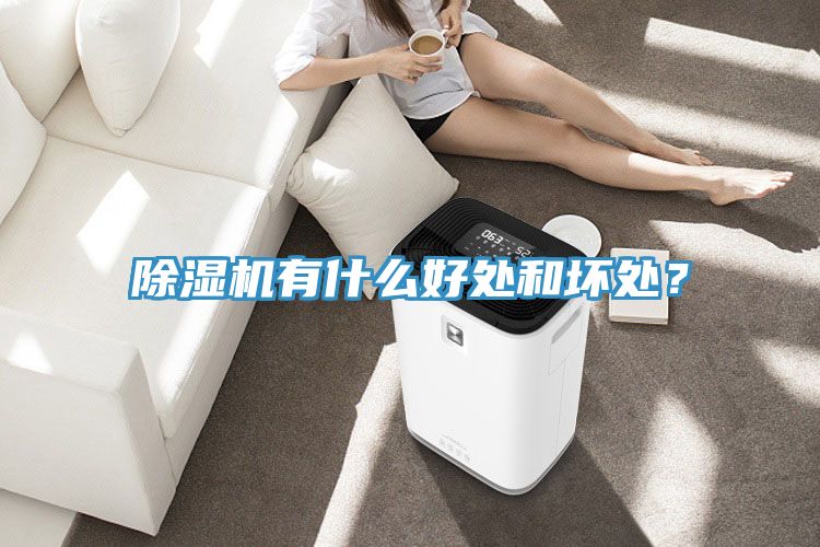 91看片网站有什麽好處和壞處？