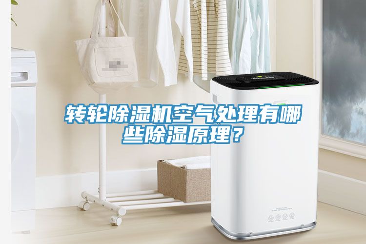轉輪91看片网站空氣處理有哪些除濕原理？