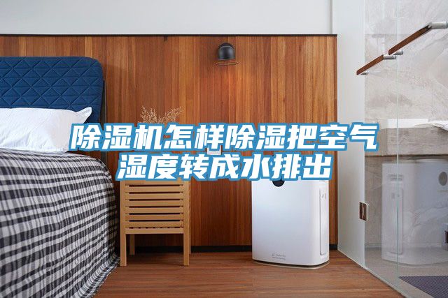 91看片网站怎樣除濕把空氣濕度轉成水排出