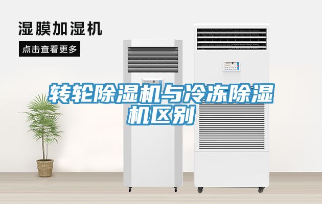 轉輪91看片网站與冷凍91看片网站區別