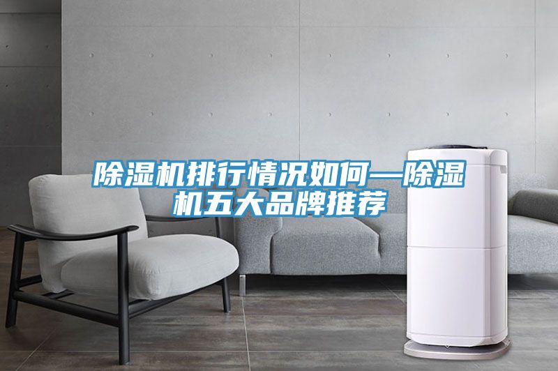 91看片网站排行情況如何—91看片网站五大品牌推薦
