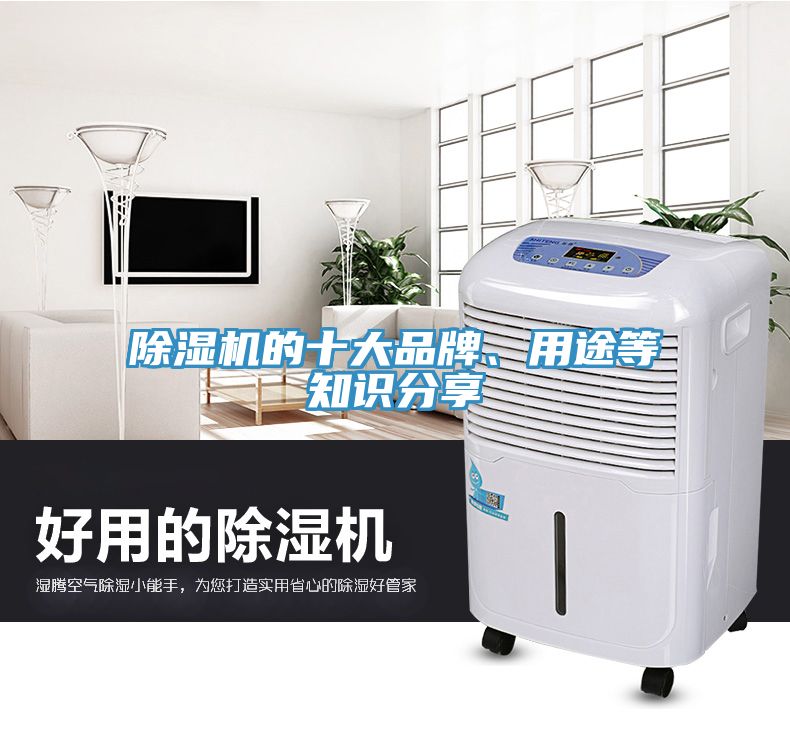 91看片网站的十大品牌、用途等知識分享