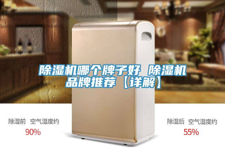 91看片网站哪個牌子好 91看片网站品牌推薦【詳解】
