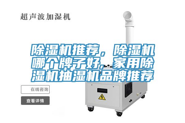 91看片网站推薦，91看片网站哪個牌子好, 家用91看片网站抽濕機品牌推薦