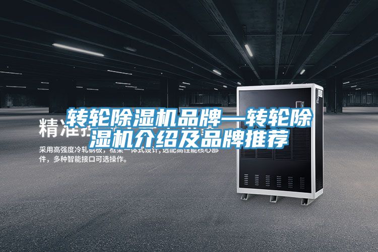轉輪91看片网站品牌—轉輪91看片网站介紹及品牌推薦