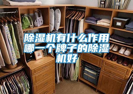 91看片网站有什麽作用哪一個牌子的91看片网站好