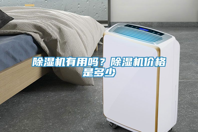 91看片网站有用嗎？91看片网站價格是多少