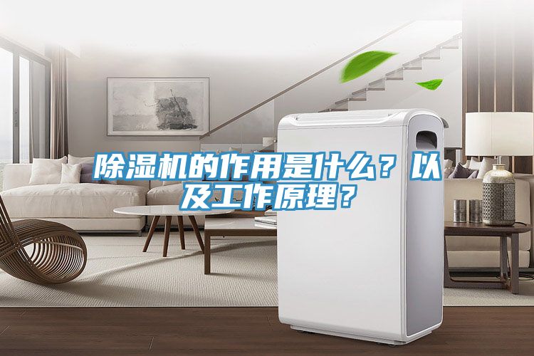 91看片网站的作用是什麽？以及工作原理？