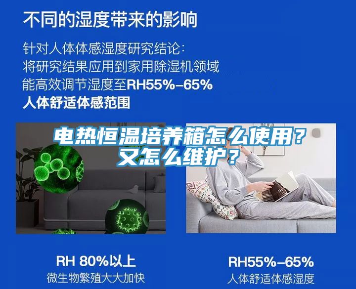 電熱恒溫培養箱怎麽使用？又怎麽維護？
