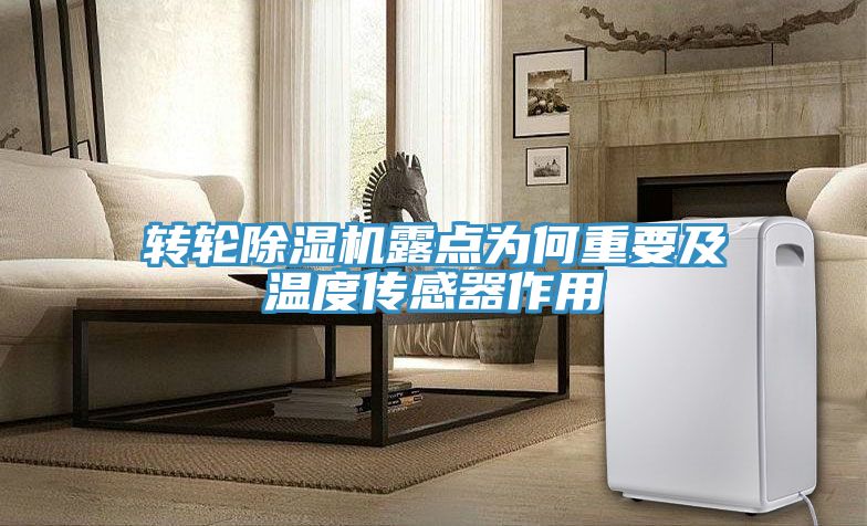 轉輪91看片网站露點為何重要及溫度傳感器作用