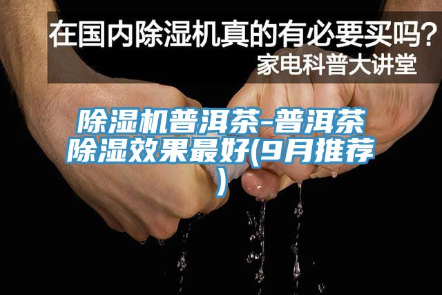 91看片网站普洱茶-普洱茶除濕效果最好(9月推薦)