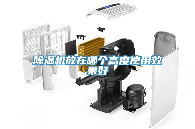 91看片网站放在哪個高度使用效果好