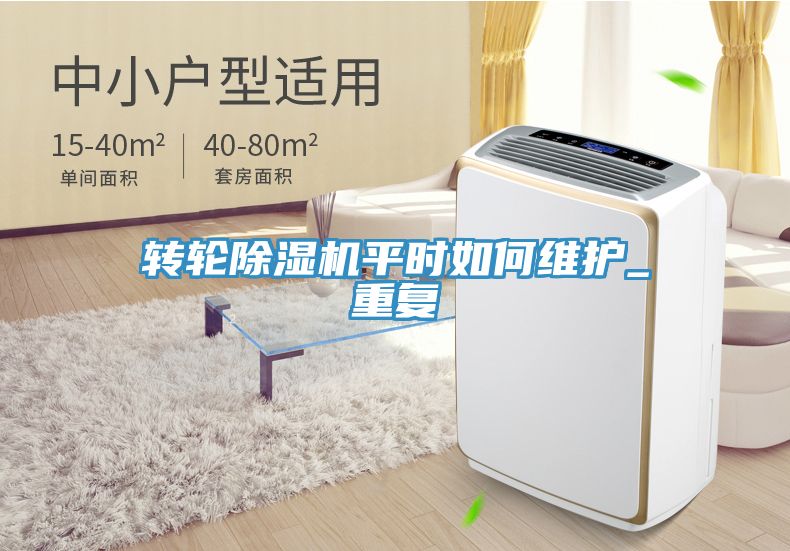 轉輪91看片网站平時如何維護_重複