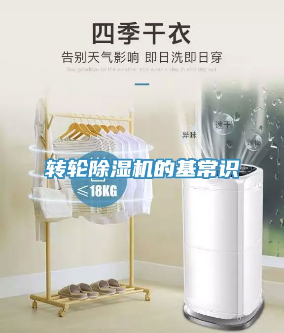 轉輪91看片网站的基常識