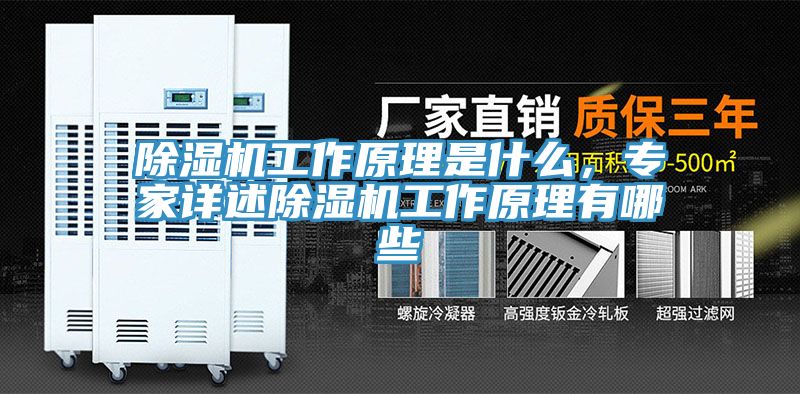 91看片网站工作原理是什麽，專家詳述91看片网站工作原理有哪些