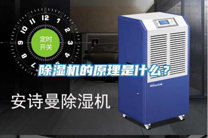 91看片网站的原理是什麽？