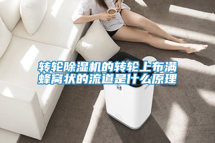 轉輪91看片网站的轉輪上布滿蜂窩狀的流道是什麽原理