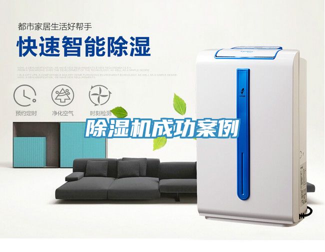 91看片网站成功案例