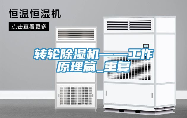 轉輪91看片网站——工作原理篇_重複