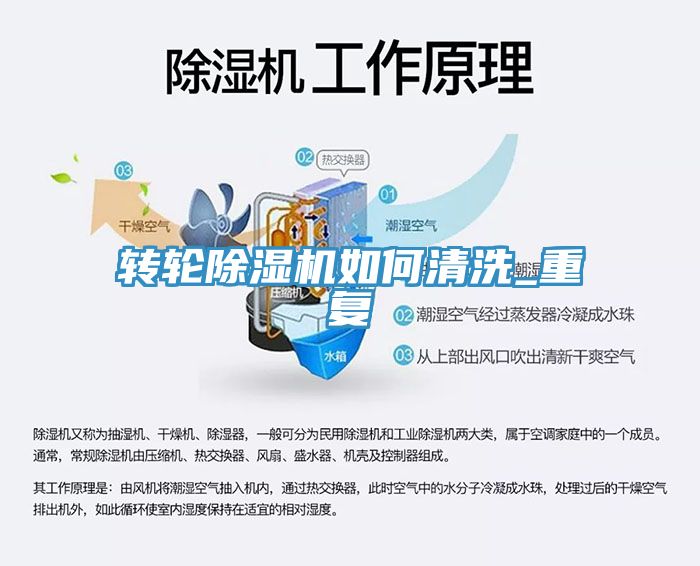 轉輪91看片网站如何清洗_重複