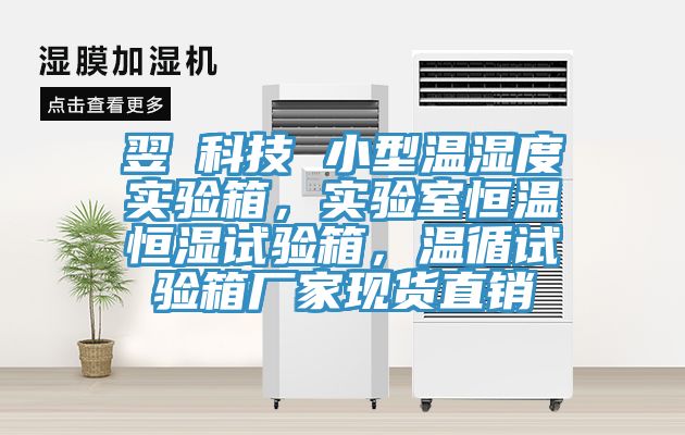 翌昇科技 小型溫濕度實驗箱，實驗室恒溫恒濕試驗箱，溫循試驗箱廠家現貨直銷