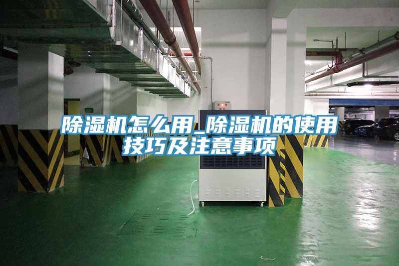 91看片网站怎麽用_91看片网站的使用技巧及注意事項