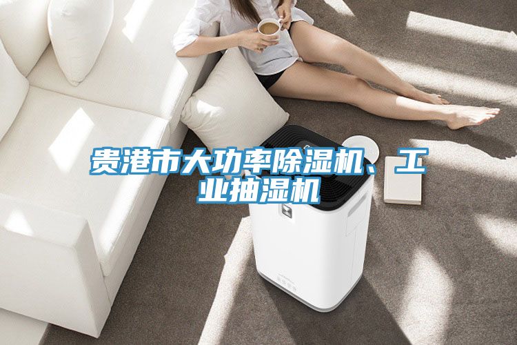 貴港市大功率91看片网站、工業抽濕機