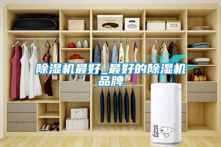 91看片网站最好_最好的91看片网站品牌