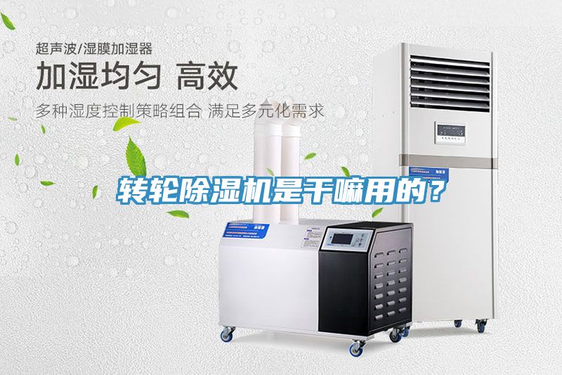 轉輪91看片网站是幹嘛用的？