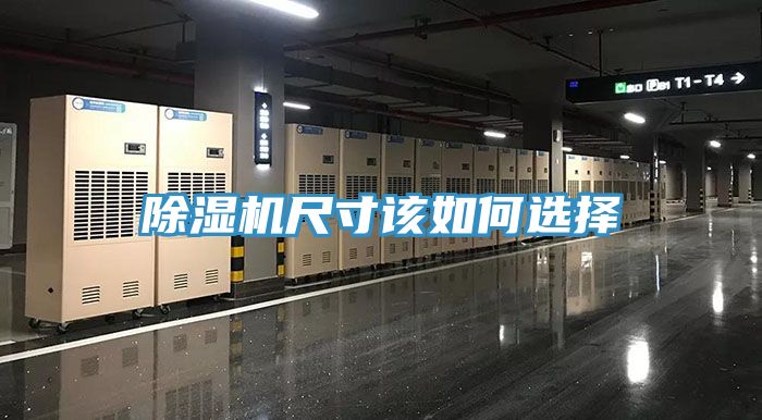 91看片网站尺寸該如何選擇