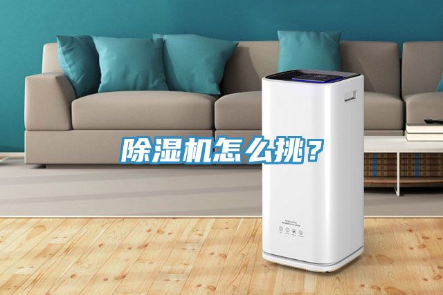 91看片网站怎麽挑？