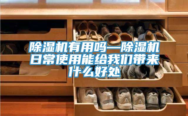 91看片网站有用嗎—91看片网站日常使用能給91看片免费下载帶來什麽好處