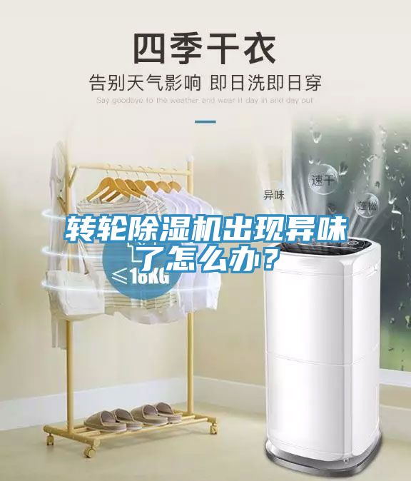 轉輪91看片网站出現異味了怎麽辦？