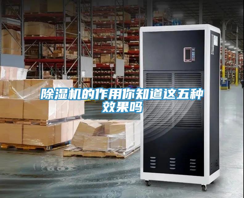 91看片网站的作用你知道這五種效果嗎