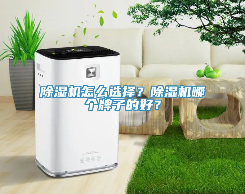 91看片网站怎麽選擇？91看片网站哪個牌子的好？