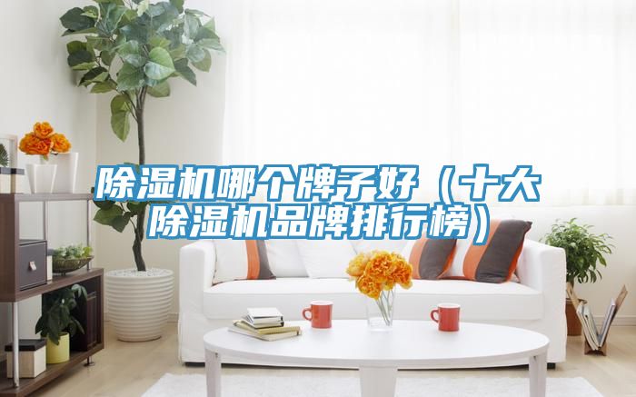 91看片网站哪個牌子好（十大91看片网站品牌排行榜）