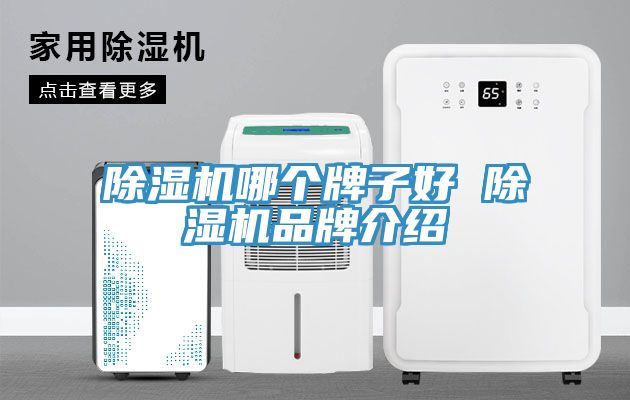 91看片网站哪個牌子好 91看片网站品牌介紹