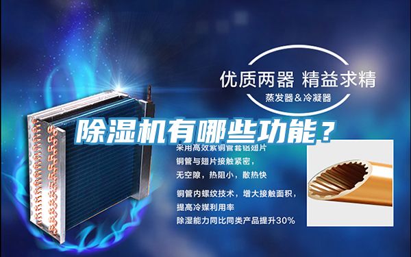 91看片网站有哪些功能？