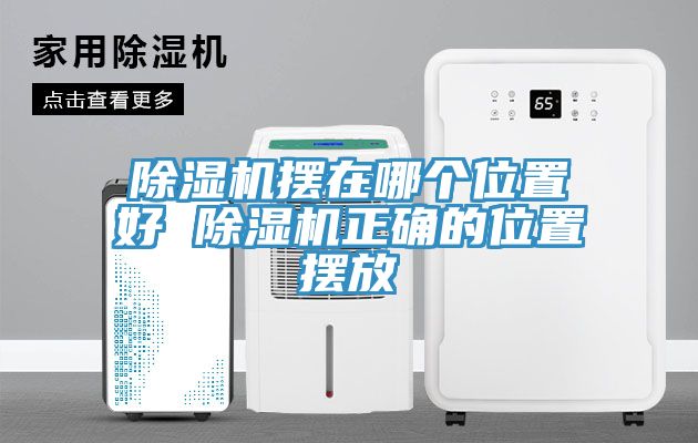 91看片网站擺在哪個位置好 91看片网站正確的位置擺放