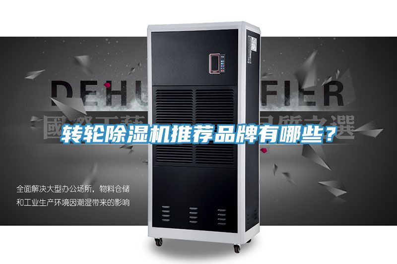 轉輪91看片网站推薦品牌有哪些？