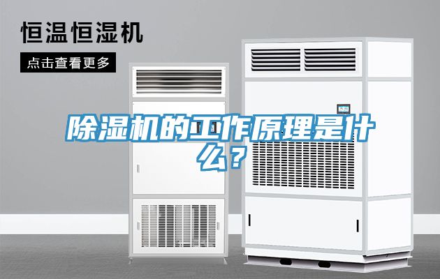91看片网站的工作原理是什麽？