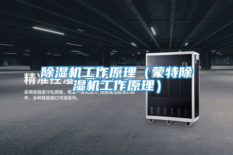 91看片网站工作原理（蒙特91看片网站工作原理）