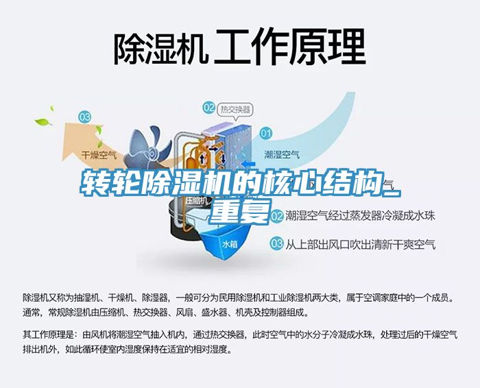 轉輪91看片网站的核心結構_重複