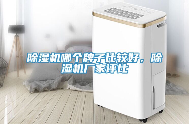 91看片网站哪個牌子比較好，91看片网站廠家評比