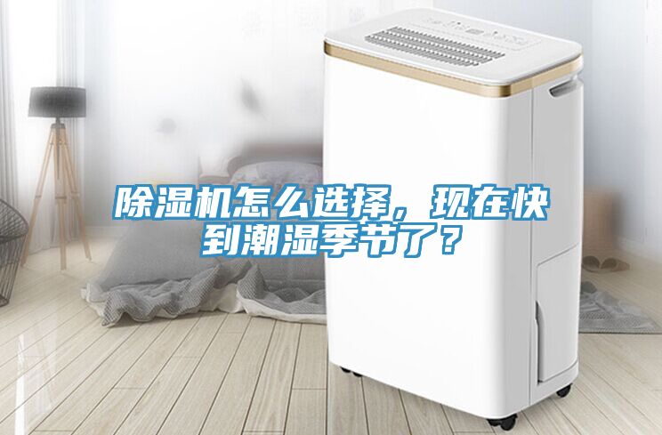 91看片网站怎麽選擇，現在快到潮濕季節了？