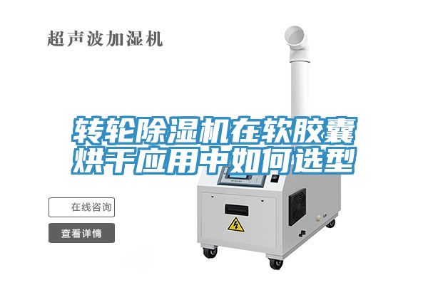 轉輪91看片网站在軟膠囊烘幹應用中如何選型