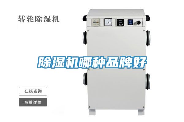 91看片网站哪種品牌好