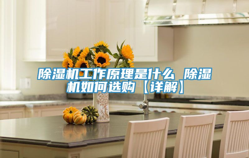 91看片网站工作原理是什麽 91看片网站如何選購【詳解】
